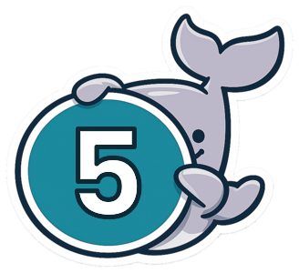 Paso 5